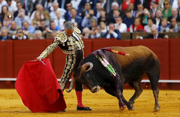 Ribuan Orang Protes Adu Banteng Spanyol